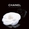 Chanel: Collections and Creations